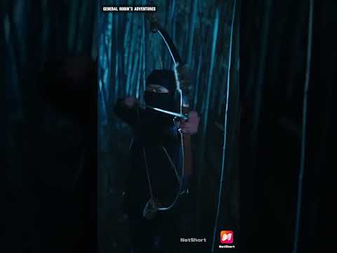 Kung Fu girl protects the prince #drama #movie #cdrama #netshort