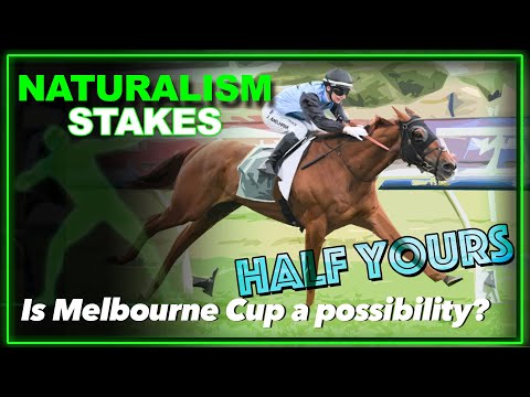 2025 Naturalism Stakes | Half Yours, Statuary, Brayden Star