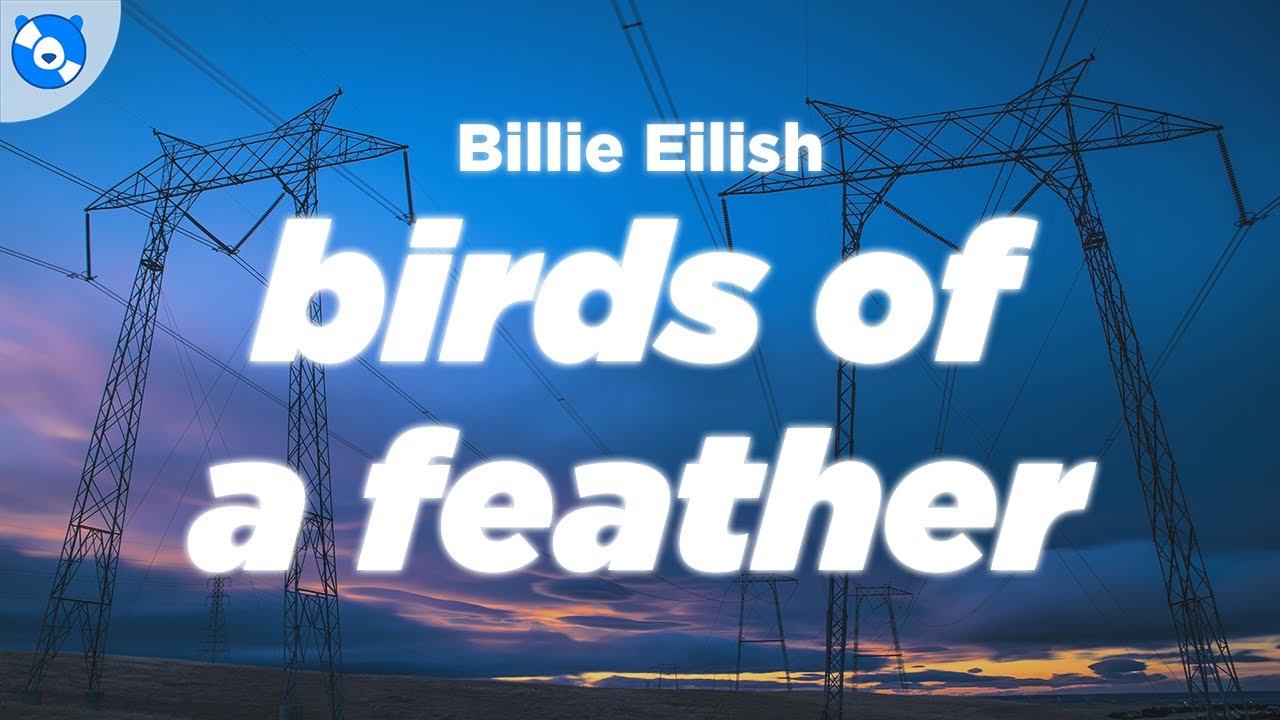 Billie Eilish - BIRDS OF A FEATHER (Clean Lyrics) 🎶