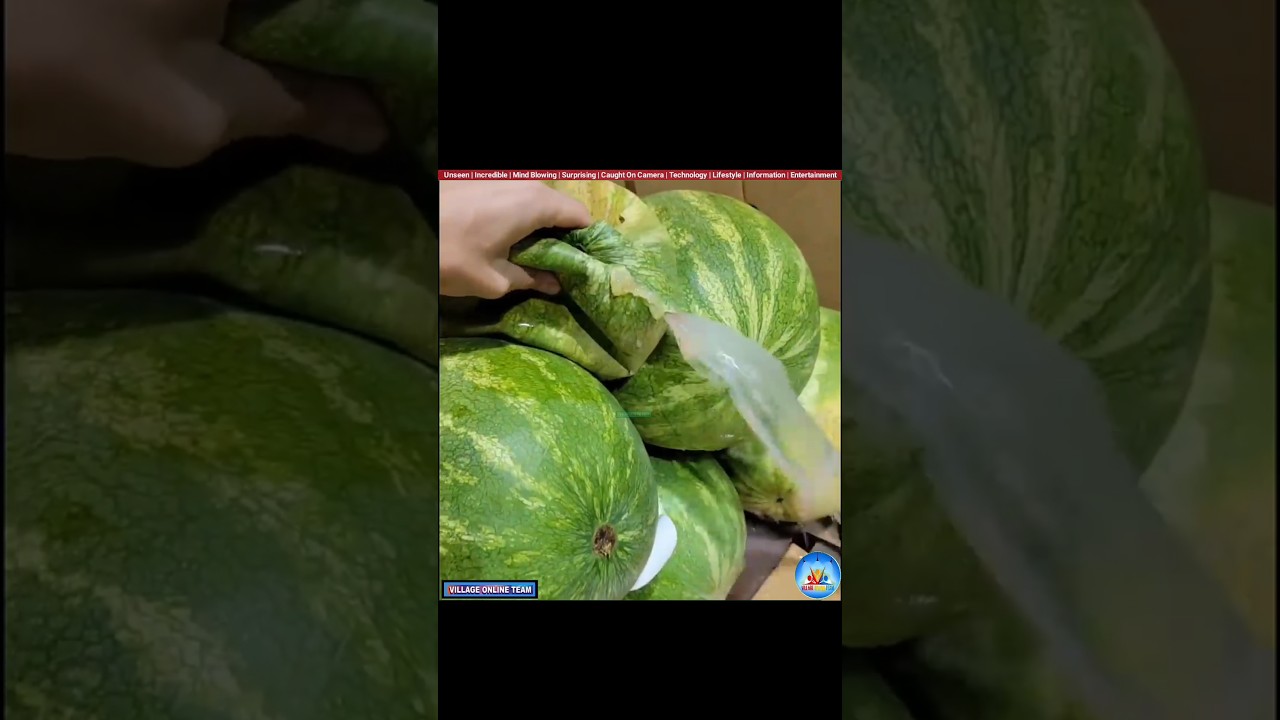 7 Surprising Facts About Fake Fruits π