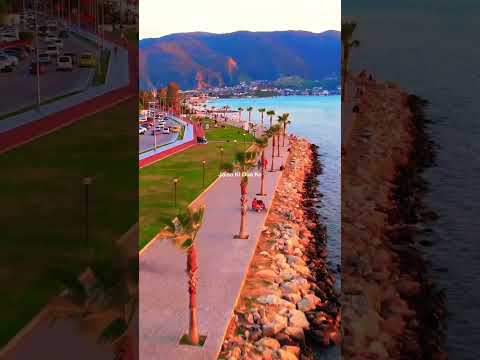 🤍 Jaan Ban Gaye ~ Aap Humari Jaan Ban Gaye | Aesthetic Status 🤍| Lofi Love Beats |