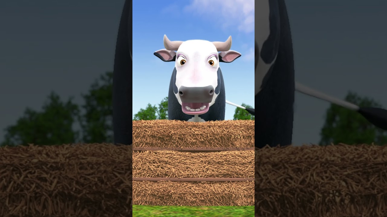 A Vaca Maru se Engana - A Fazenda do Zenon #shorts #brasil