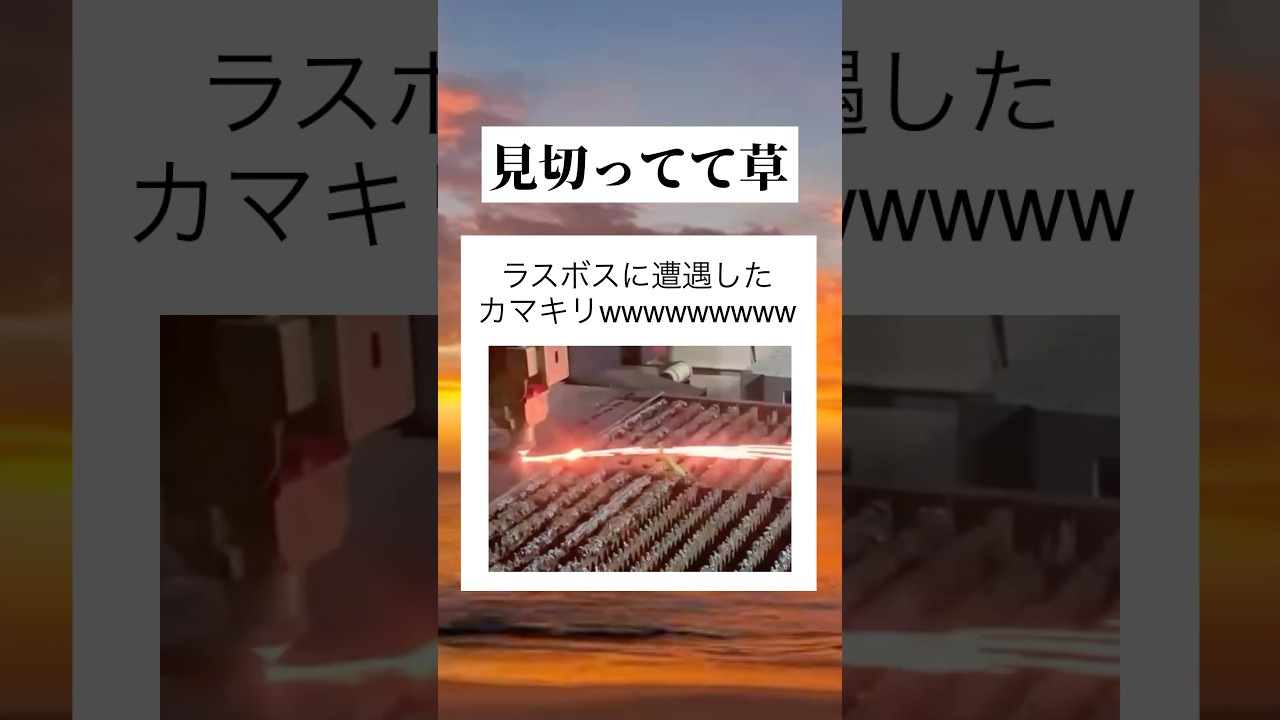 歴戦のカマキリ🦗 #TikTok #Shorts