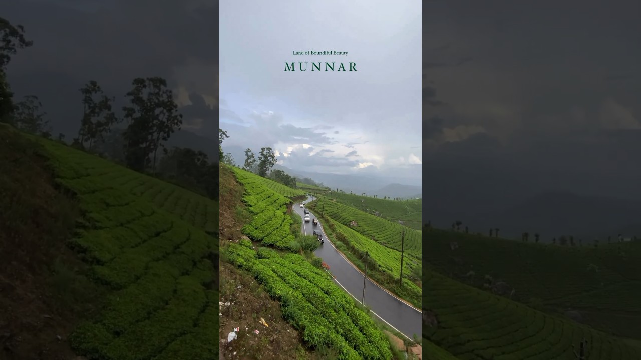 Experience the Monsoon Magic in Munnar, Kerala | Rainy South India
