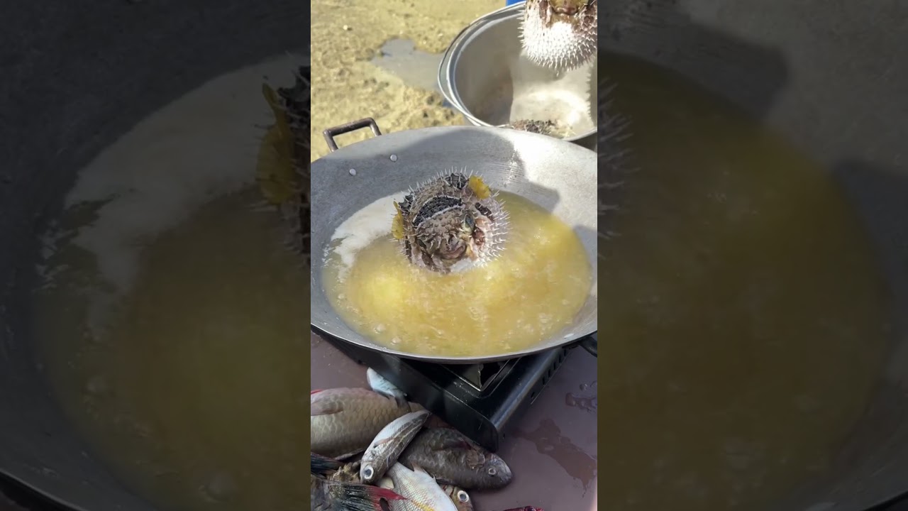 Live Puffer Fish Being Fried 🐡 #shorts