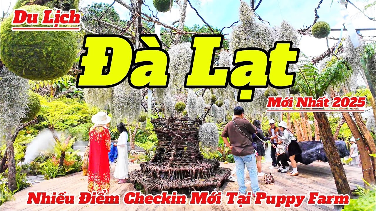 Hướng Dẫn Du Lịch Đà Lạt 2025 | Nhiều Điểm Checkin Mới Tại Puppy Farm Và Giá Vé Mới Nhất
