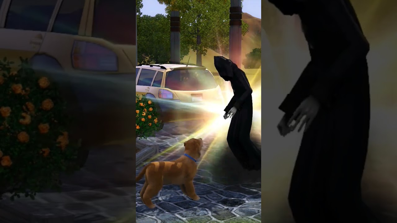 Pet Death in Sims 3: What to Do 😥