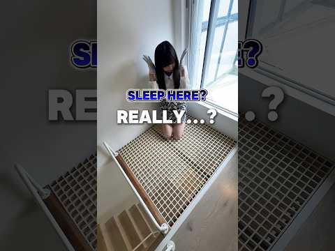 The whole house is a cat tower!? We discovered a designer cat-friendly house with a unique layout♪