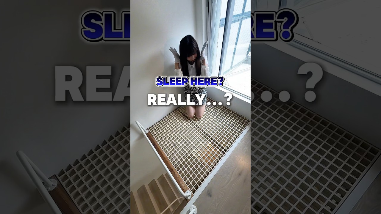 Discover a Unique Cat-Friendly Home with a Built-In Cat Tower 🏡