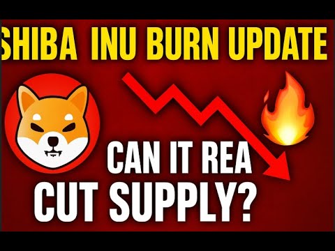 🔥 Shiba Inu Burn Update 2025 | Can SHIB Really Cut Its Massive Supply? 🚀