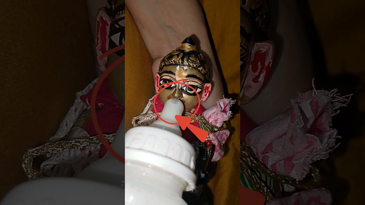 Miraculous Laddu Gopal Moment You Must See! ✨ | Radhe Krishna Devotee