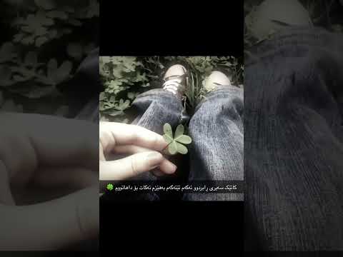 #kch #bts #edit #kpop