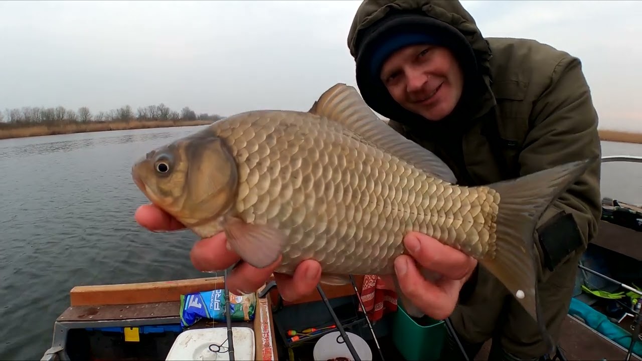 Килограммовый карась на мотыля с перцем 🎣
