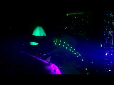 Chalga Music: The Beat of Bulgaria's Nightlife in Sofia Disco