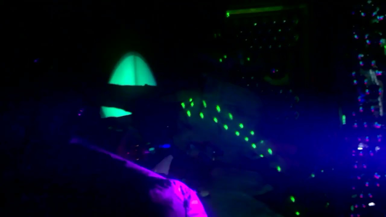 Discover Bulgaria's Vibrant Chalga Music Scene in Sofia's Nightlife 🎶