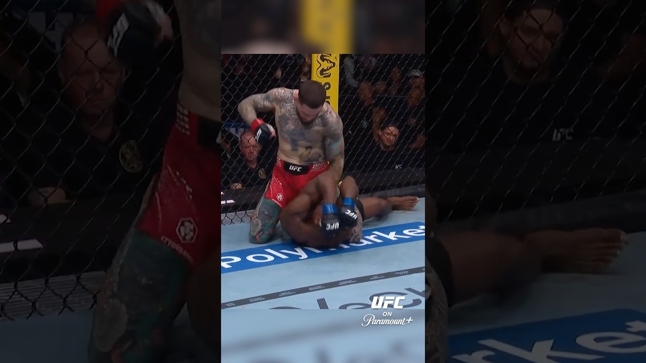 💥 Шон Брэди доминирует в партере #UFC328