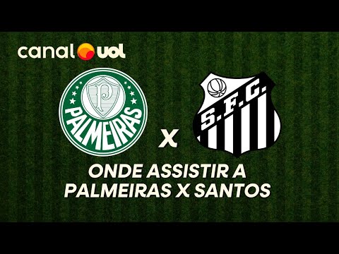 SANTOS X PALMEIRAS: ONDE ASSISTIR À TRANSMISSÃO AO VIVO DO JOGO E HORÁRIO PELO BRASILEIRÃO