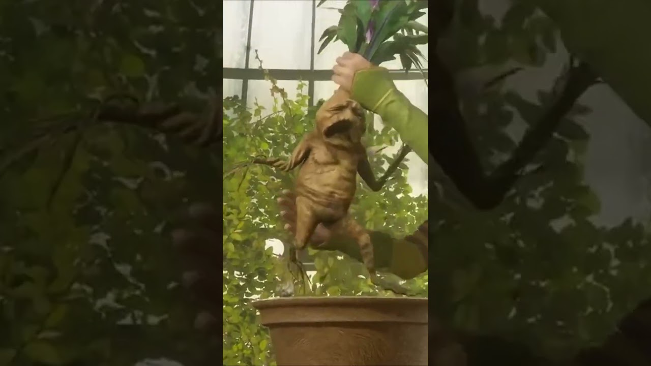 Miawaug's Hilarious Reaction to Living Plants 😂