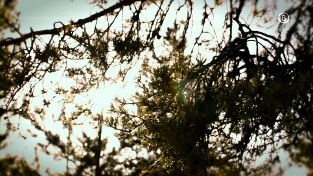 Bogner Sport Winter Collection 2011 ❄️