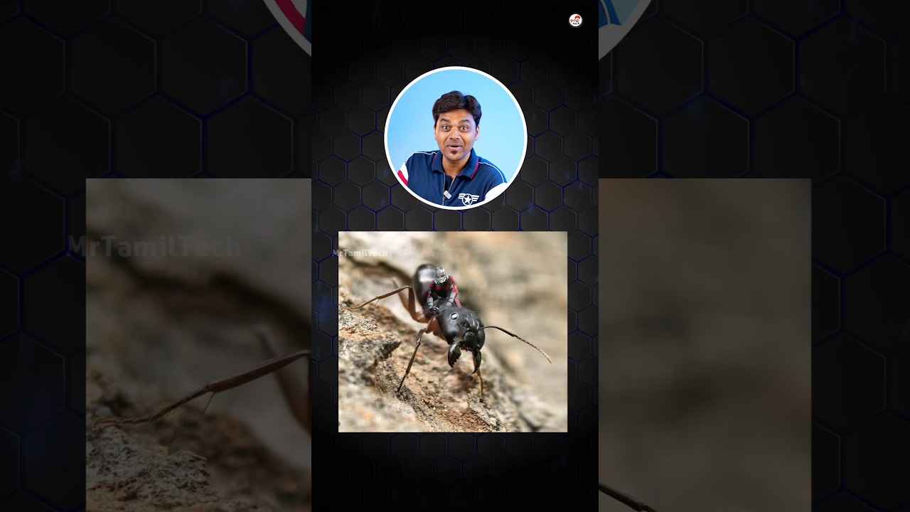 Huawei Pura 70 Ultra: World's Best Camera Smartphone 📱