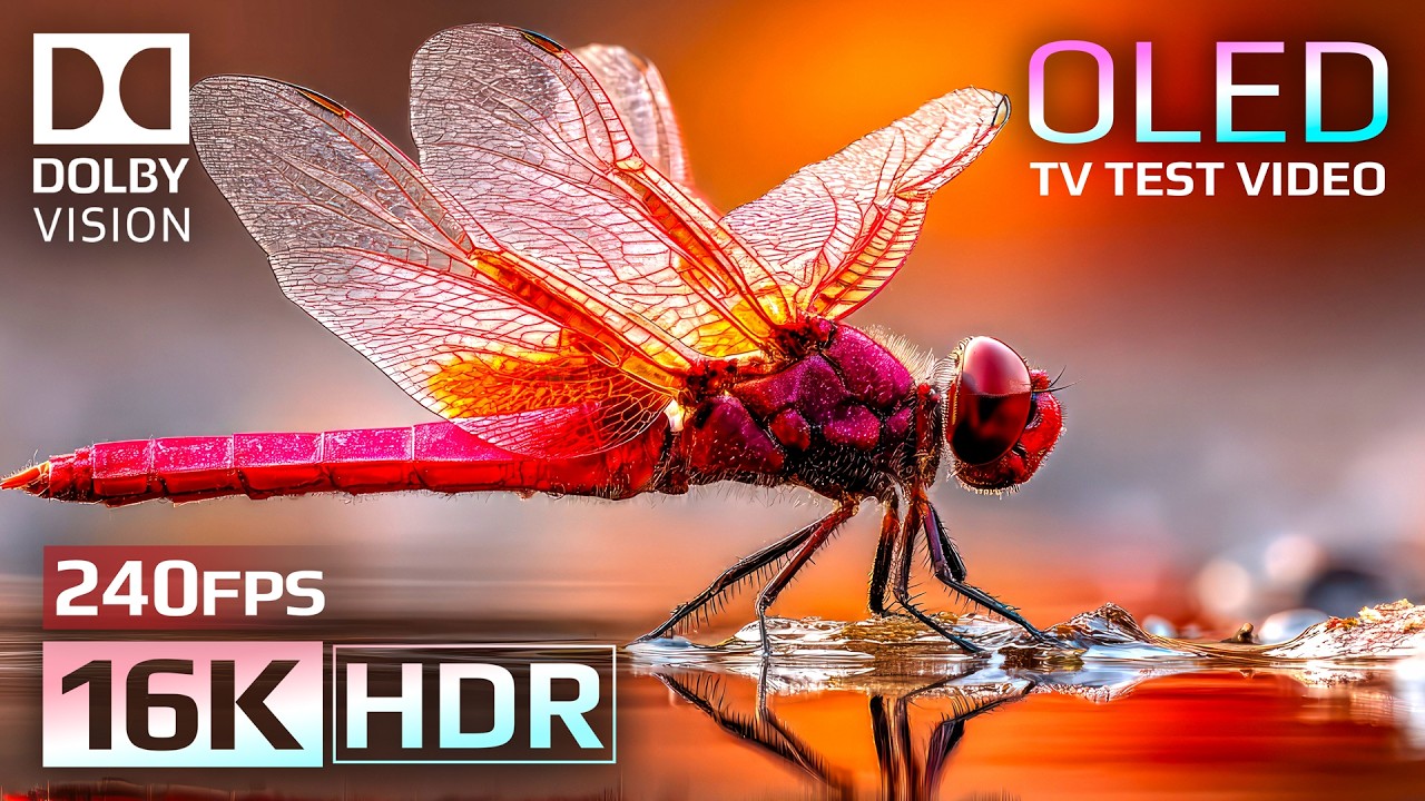 Mind-Blowing 16K HDR 240 fps | Dolby Vision OLED Demo (For 8K/4K TV)
