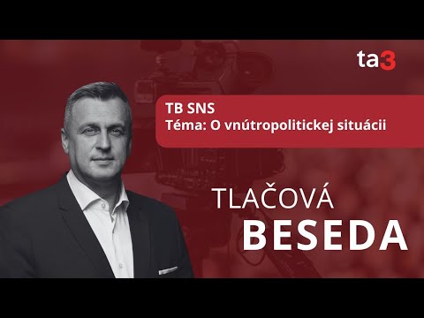 TB SNS, Téma: O vnútropolitickej situácii