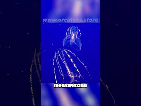 🤯 Glowing Jellyfish?! 🤯 Witness the Ocean's Bioluminescent Wonders!