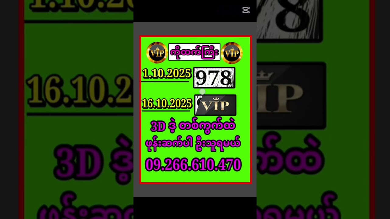 ๐ New Year 2D & 3D Show Highlights | Myanmar's Best Live Performances