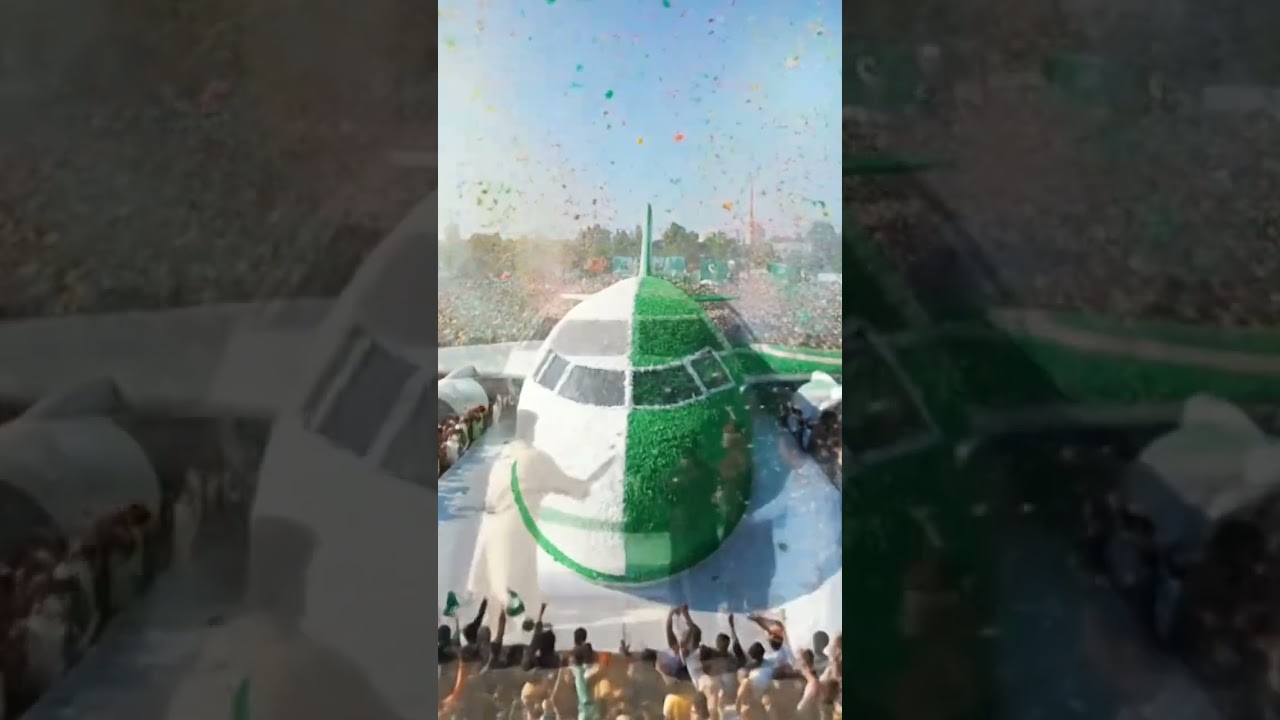 Spectacular Pakistan Flag Airplane Cake Celebrates Independence Day ππ΅π°
