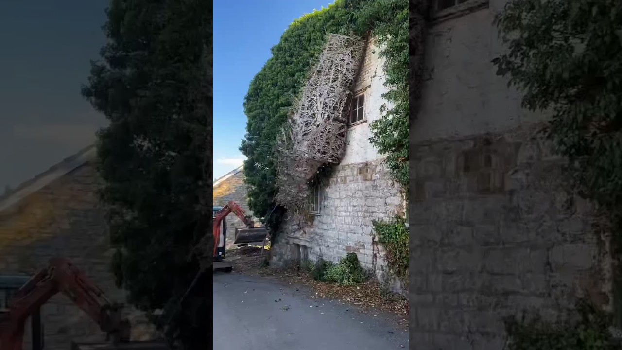 Experience Stunning 4K, 8K & 12K Ultra HD Nature Videos ๐ฆ