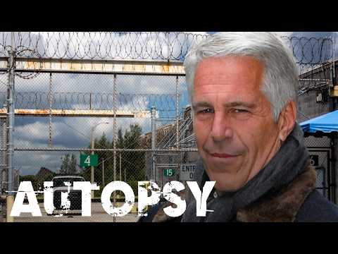 Investigating The True Cause Of Jeffrey Epstein's Death | Our History