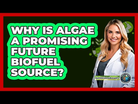 Why Is Algae A Promising Future Biofuel Source? - Earth Science Answers