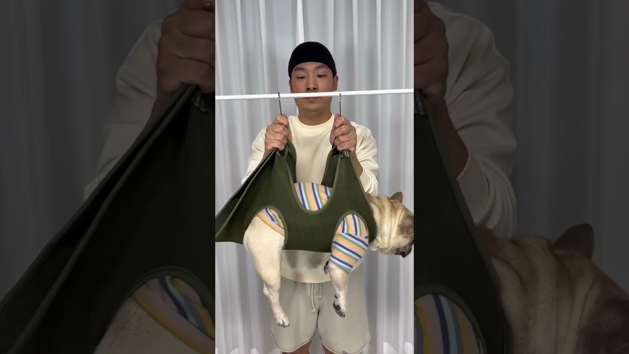 Trimming My Angry French Bulldog's Nails 🐶