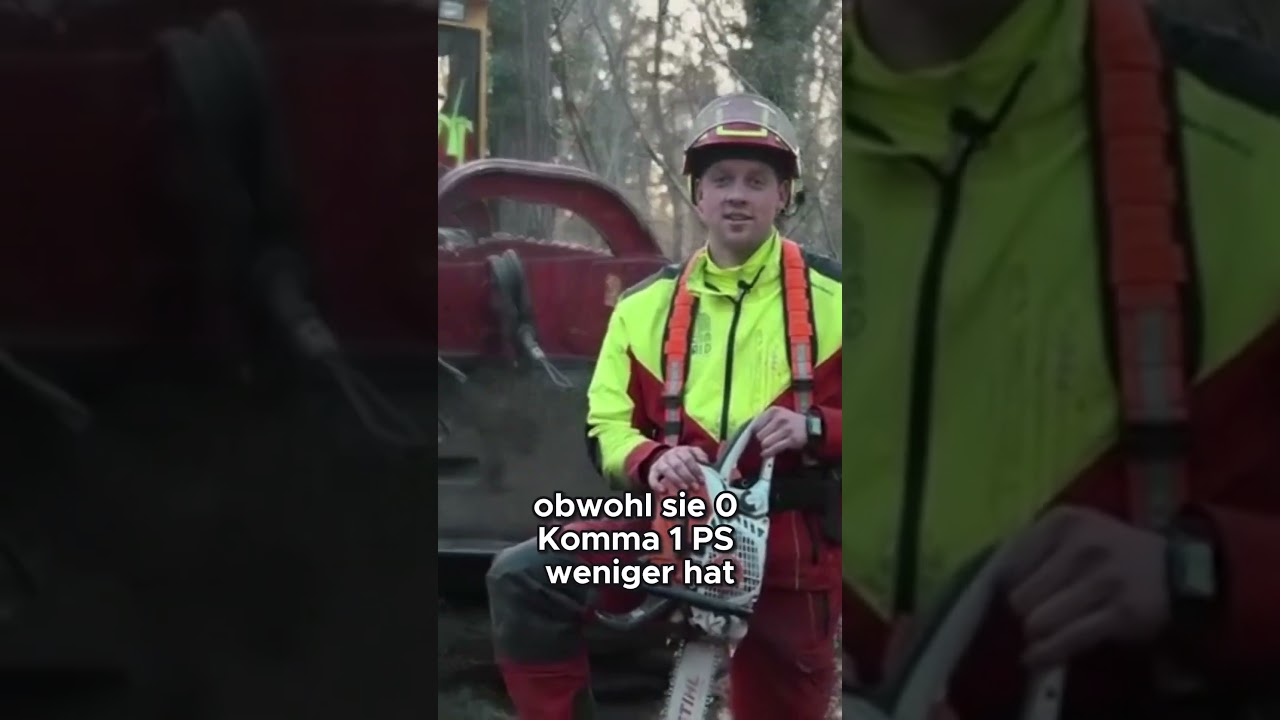 Praxisbericht: Neue Stil MS 400 1 im Forsttechnik-Test 🌲