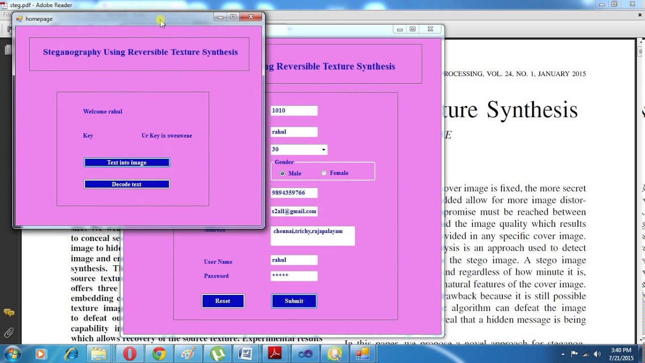 Unlock Hidden Messages with Reversible Texture Synthesis in Steganography π