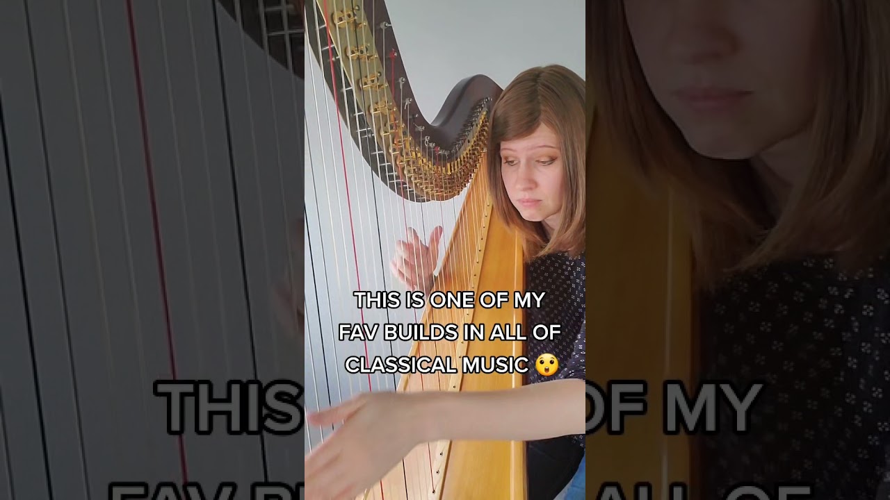 Vivaldi's Winter Solo on Harp ❄️