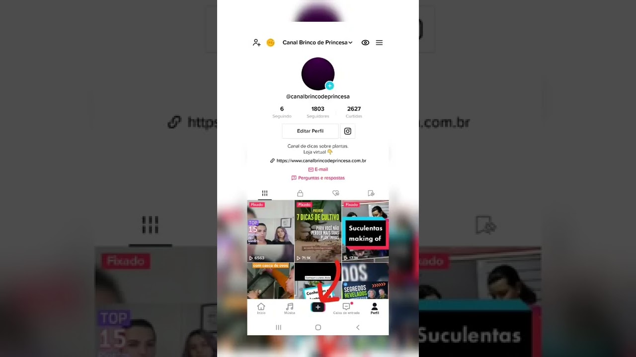 Como Obter o Link do Perfil TikTok em 10 Segundos