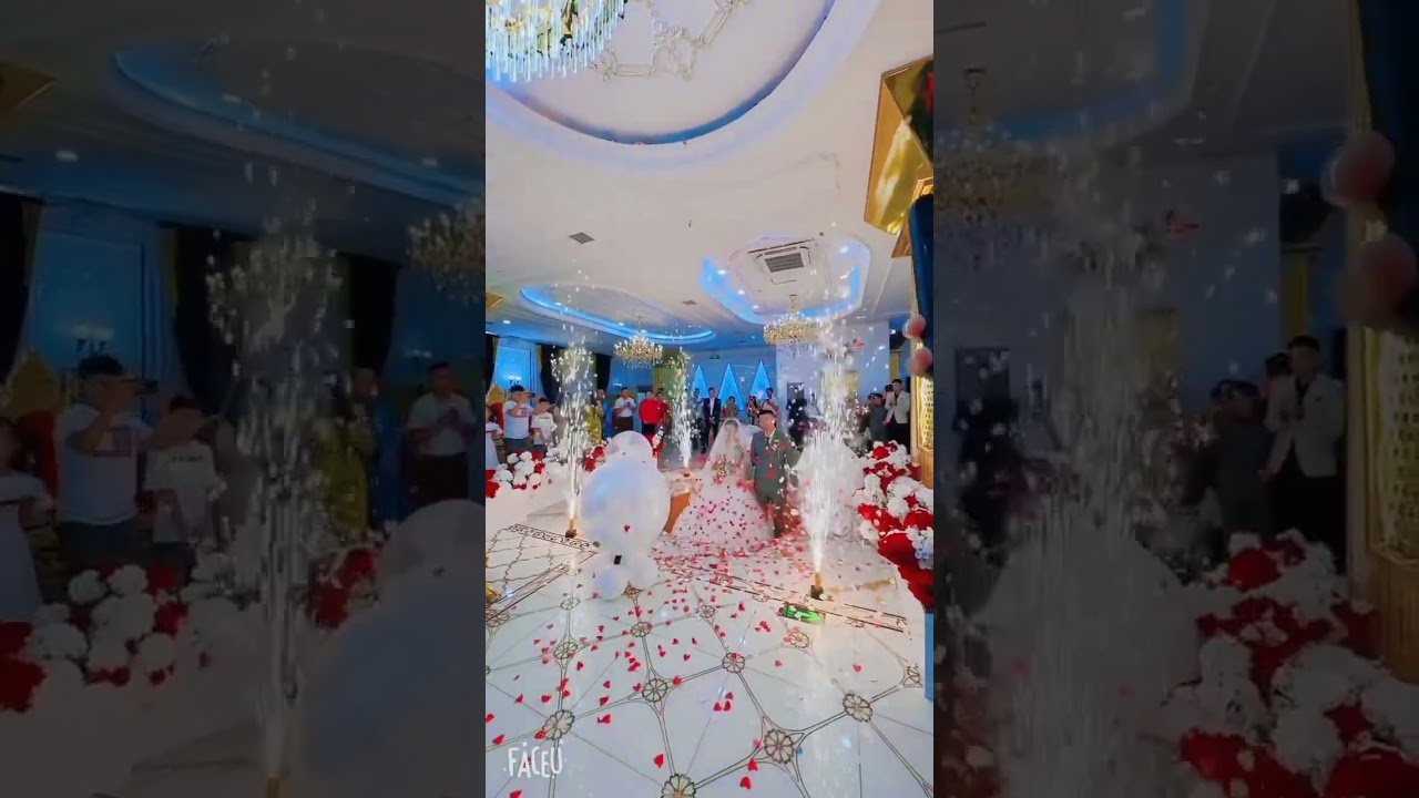 Stunning Bridal Entry: A Beautiful Wedding Moment β¨