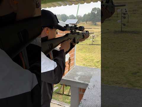 Benelli MR1 💥 .223 REM