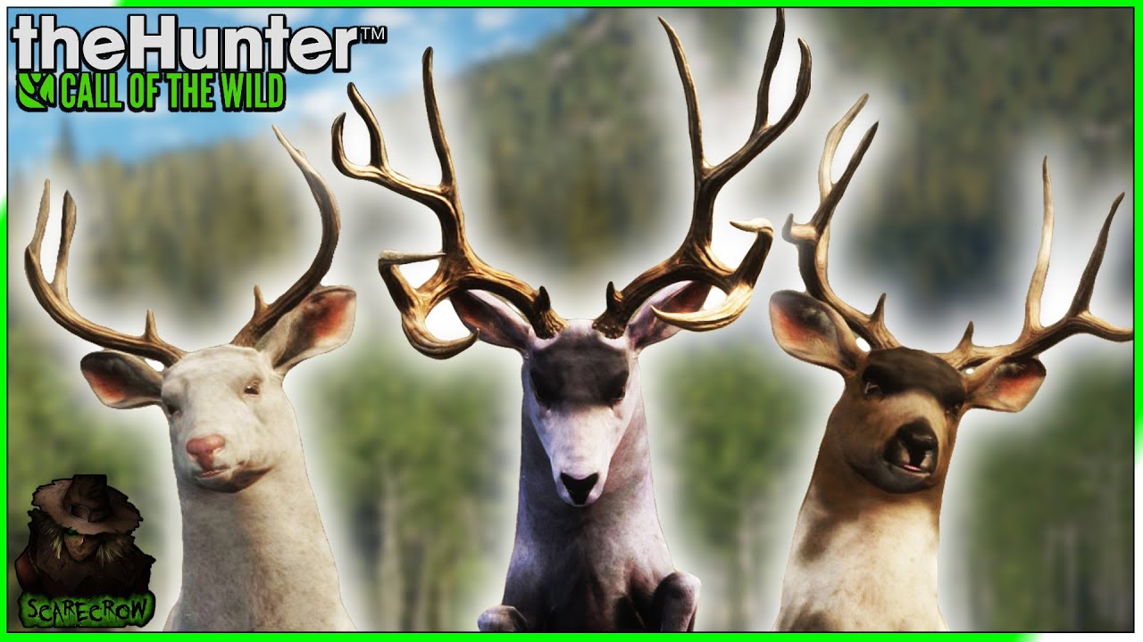 YOU WONT BELIEVE THIS LUCK! Multiple Rare TruRACS Mule Deer! Call of the wild