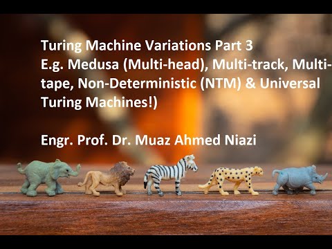 Turing Machine Variations (Medusa, Multi-track, Multi-tape, NTM Universal Turing Machines!)