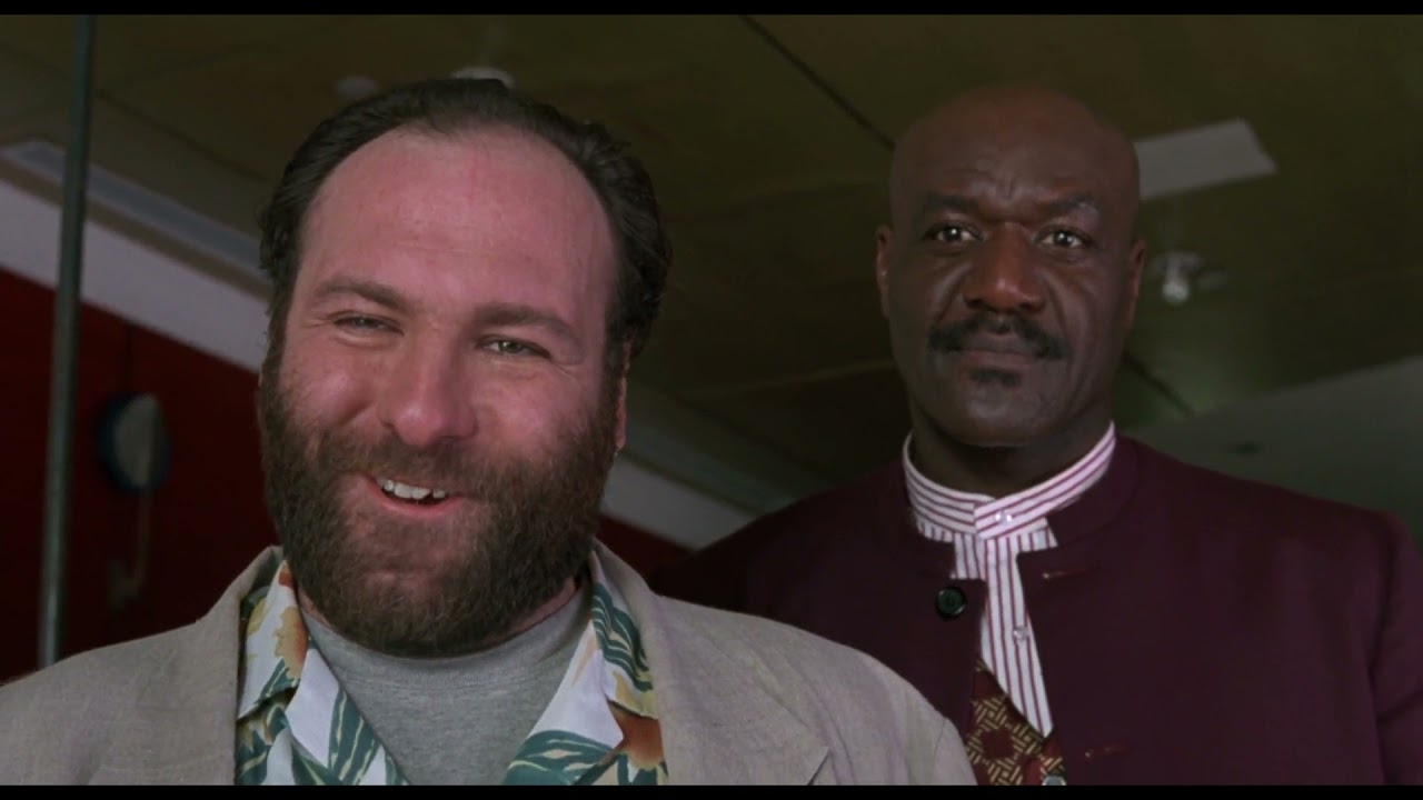 Get Shorty: Stuntman Challenge 🎬