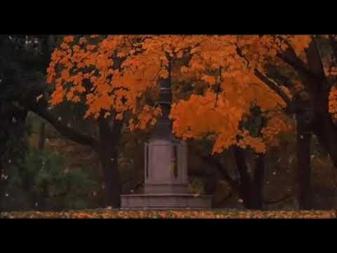 teardrop - massive attack (slowed + reverb)