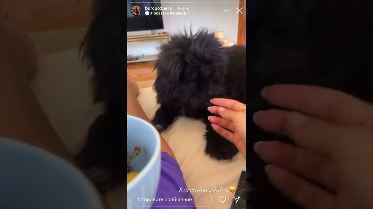 Бурджу Озберк и Чангу на карантине: актриса заразилась COVID-19 🤒