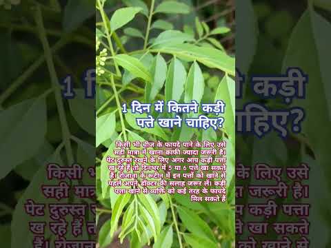 1 दिन में कितने कड़ी पत्ते खाने चाहिए? #shorts