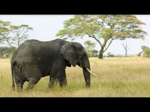 Simple AES Encryption - Cryptography with Python