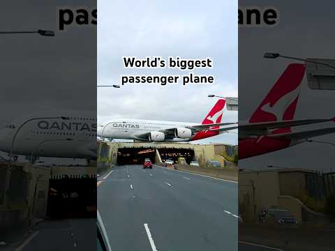 Driving below the world’s biggest passenger plane ✈️ #aviation #planespotting #a380 #airbus #qantas