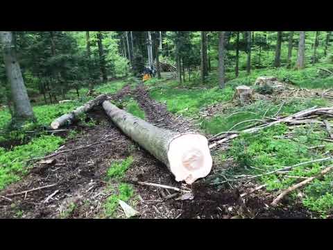 Hydraulischer Antrieb für Seilwinde Eigenbau - erster Test