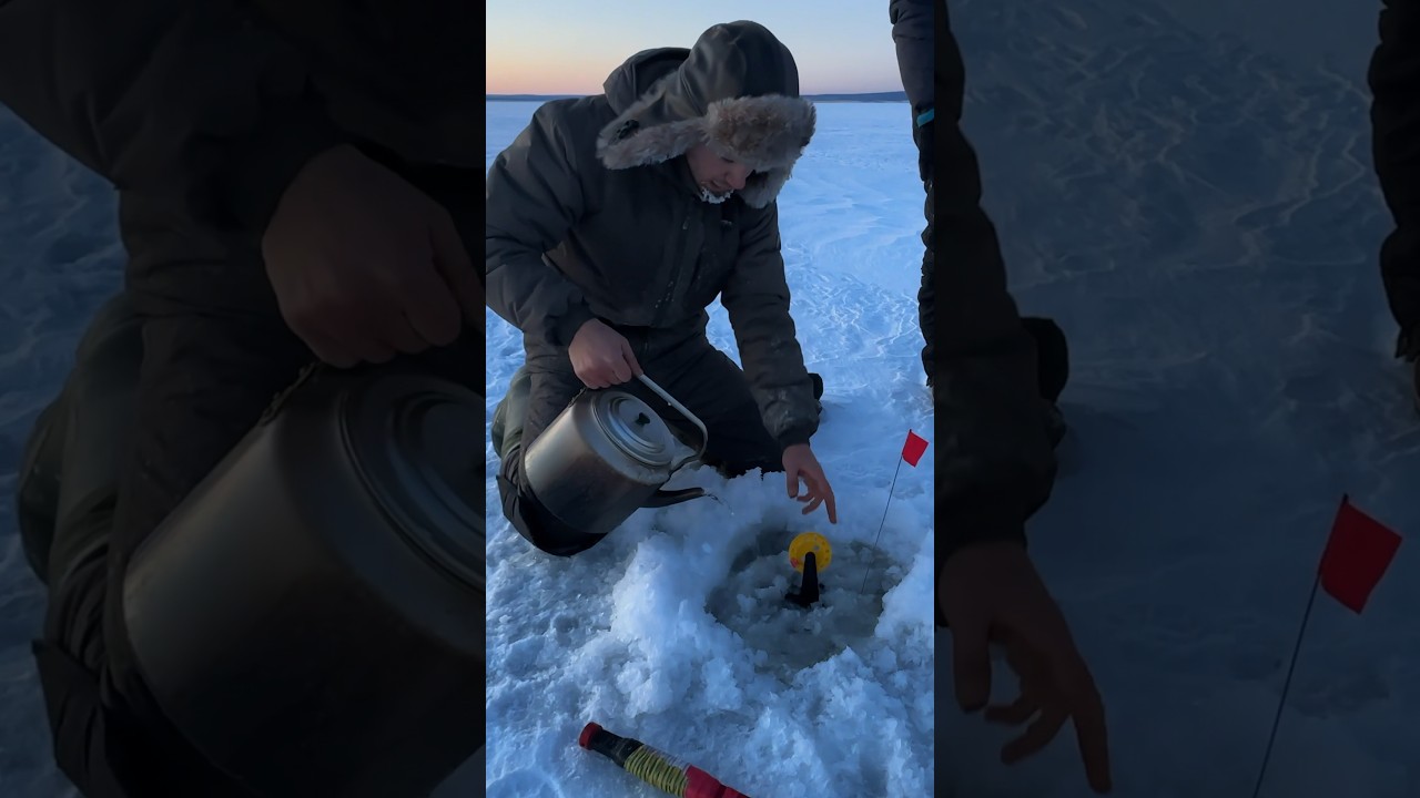 Удивительная вечерняя щука на жерлицу в Забайкальском крае 🎣