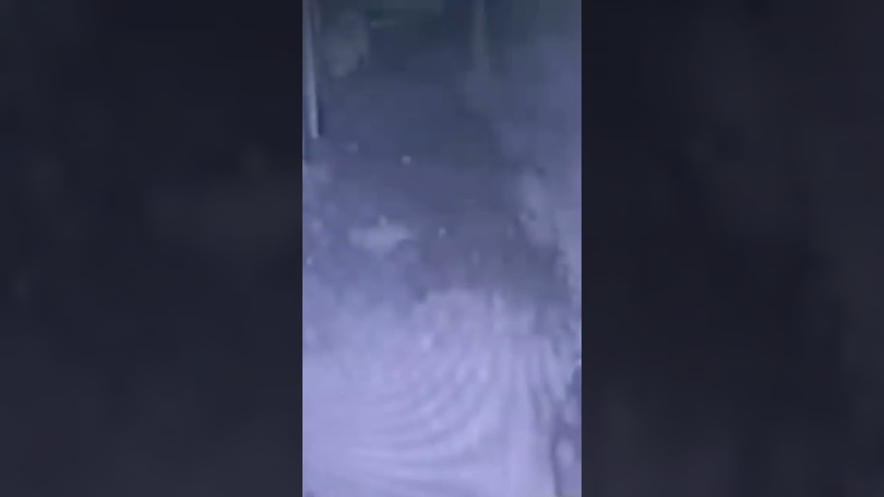 Ужасающие Видео и Страшилки 4 — Испытайте свои нервы! 👻